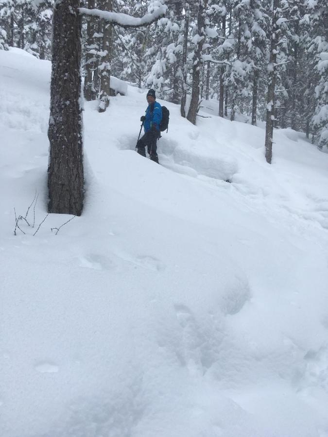 Ferienwohnung Zwoelferblick Bramberg am Wildkogel Exteriör bild